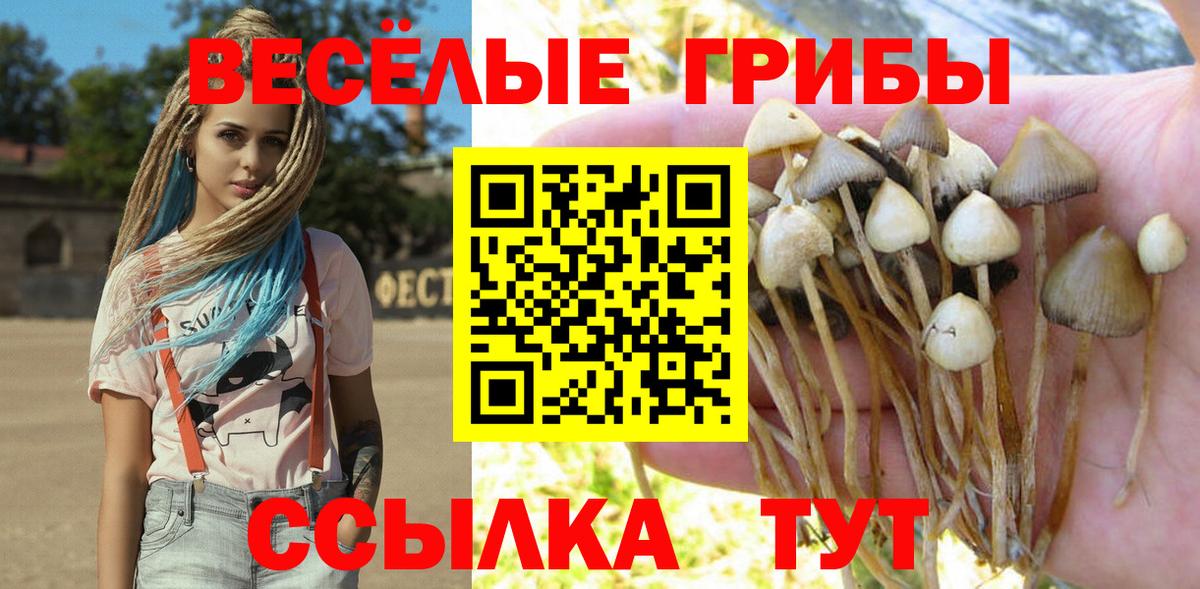 Галлюциногенные грибы Magic Shrooms Барабинск